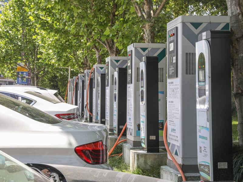 骨架的柱材 骨架的柱材